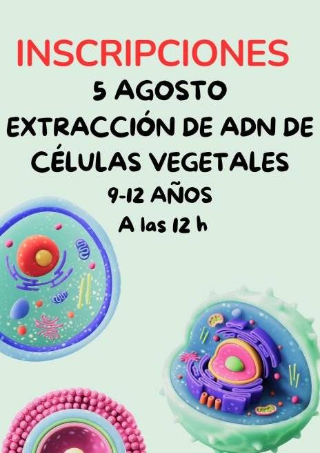 Vegetales